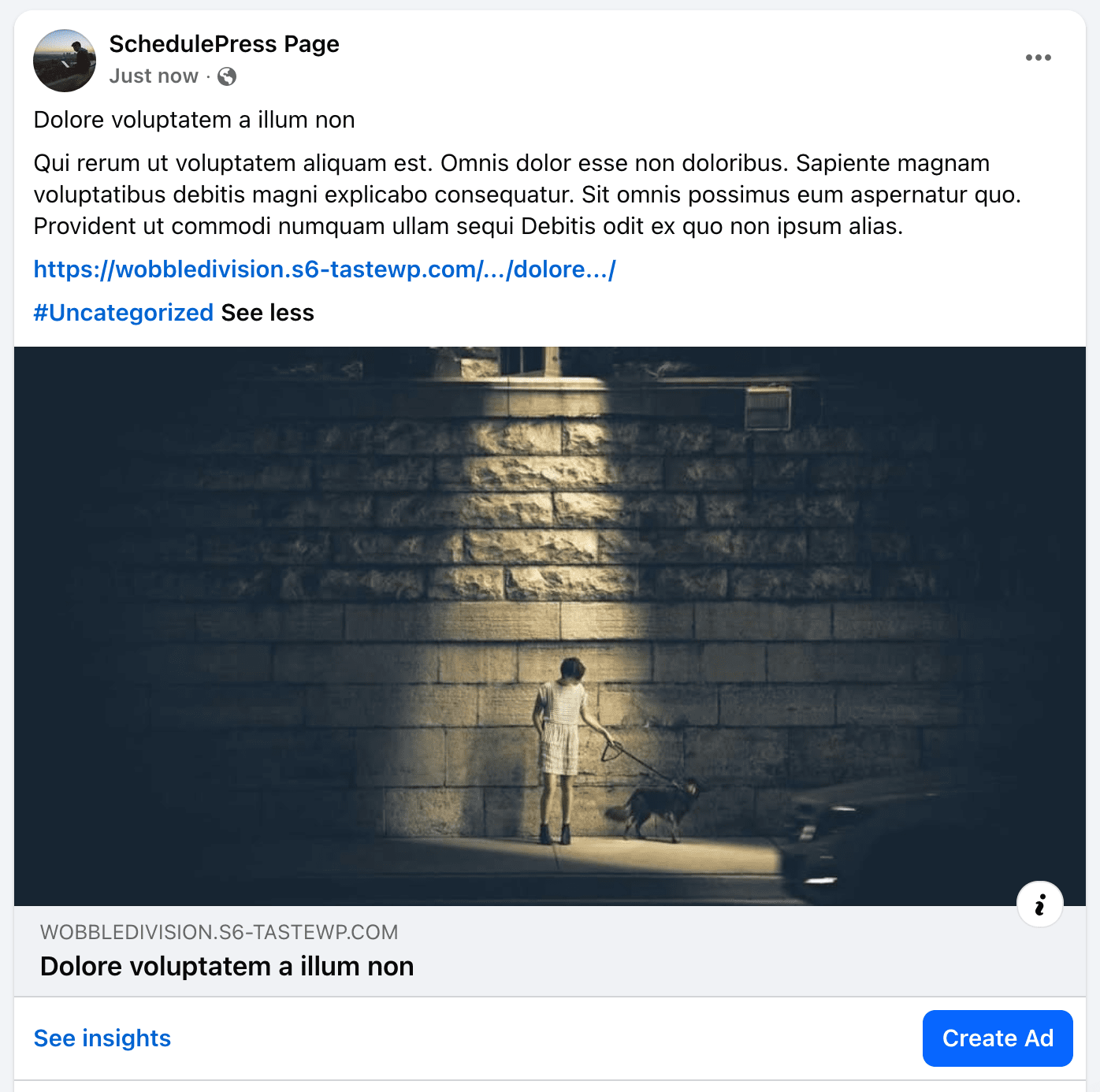 Share Scheduled WordPress Posts